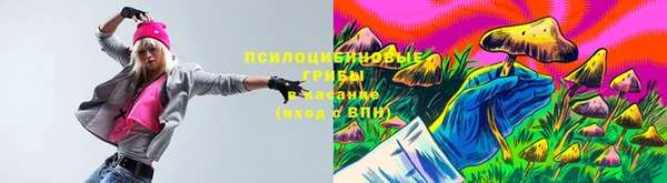 шишки Нефтекумск