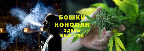 гашик Бронницы