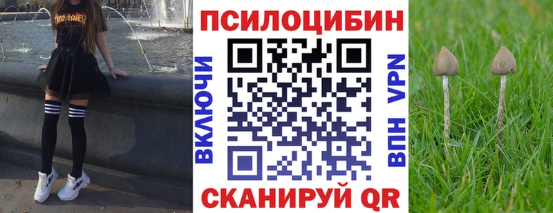 наркота  Тамбов  Псилоцибиновые грибы мицелий 