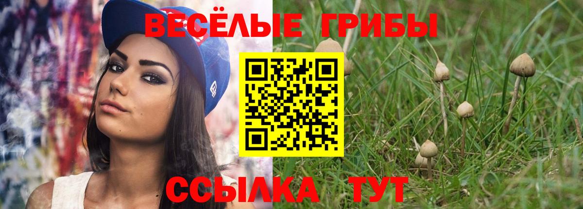 Псилоцибиновые грибы мухоморы  Вход с VPN  Тамбов  Галлюциногенные грибы Cubensis 