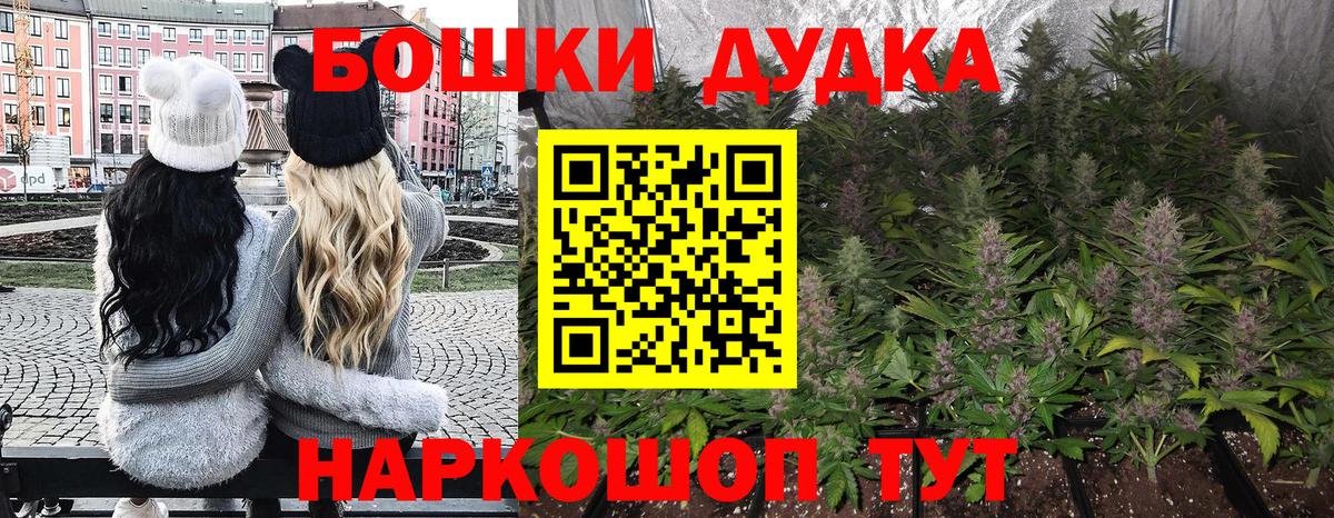 Канабис планчик Тамбов